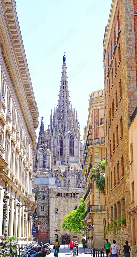 Catedral de Barcelona, Catalunya, España, Europa