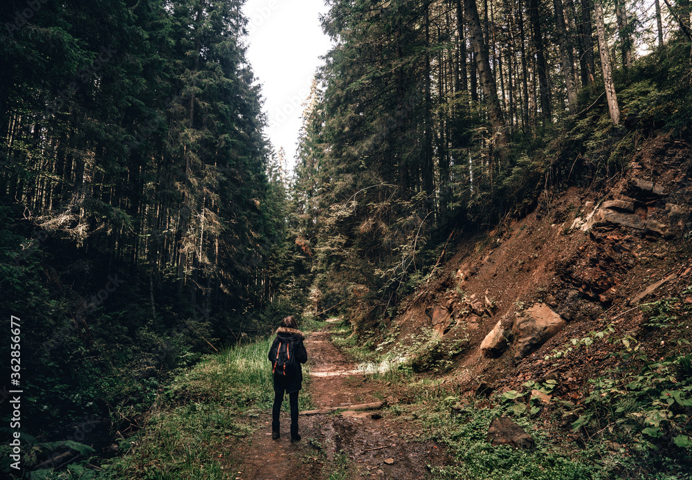 Young girl hiker at forest mountains landscape with backpack travel. Lifestyle wanderlust adventure. Location Carpathian national park, Ukraine, Europe