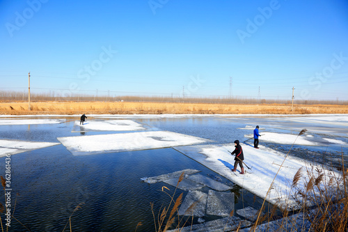 farmers use poles to move ice in the field, Luannan, Hebei, China