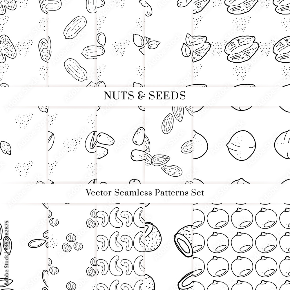 Fototapeta Nuts and seeds vector pattern. Outline hand drawn design