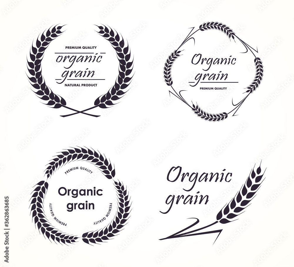 Agriculture wheat logo Template vector icon design. Wheat ears isolated on white background.