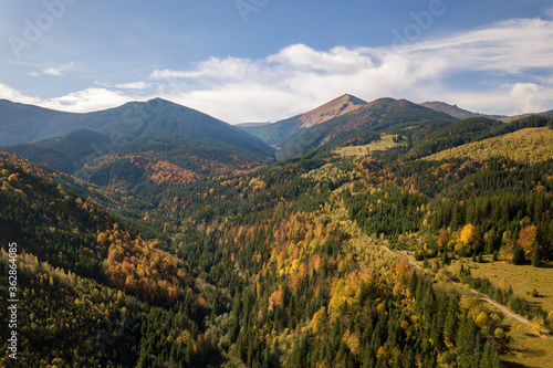 Aerial view of autumn mountain landscape with evergreen pine trees and yellow fall forest with magestic mountains in distance. © bilanol