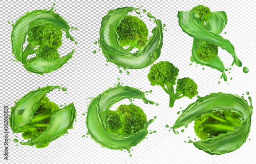 3D realistic broccoli. Collection fresh vegetables. Broccoli cabbage with splash liquid. Nature product. Detailed vector illustration.