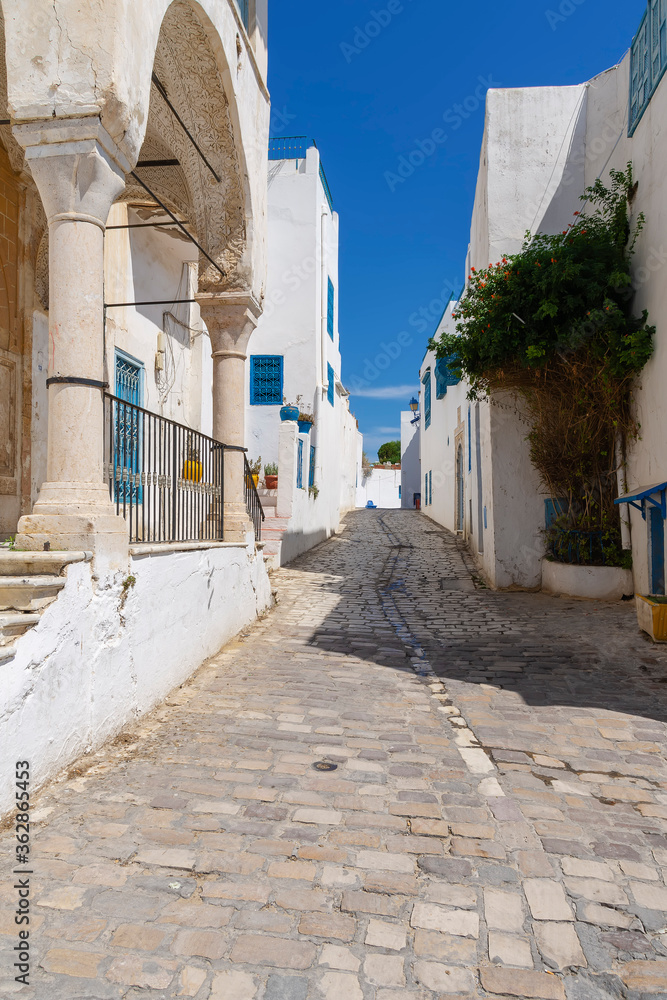 narrow streets of the blue and white city of Sidi bou Said