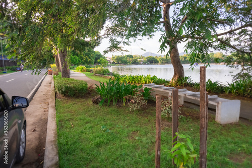 Beautiful garden in a lake