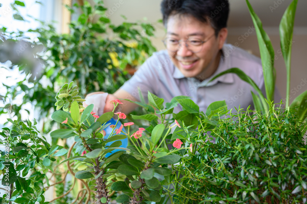 An Asian middle-aged man who smiles while taking care of a flower bed at home. An Asian middle-aged man who smiles while taking care of a flower bed at home.