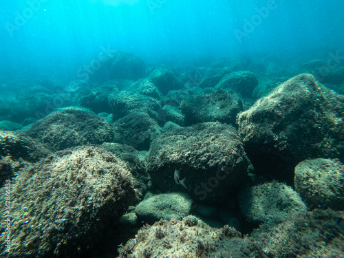 the sun's rays fall from above, penetrating seawater to the bottom. very large stones at the bottom of the sea © Alexander