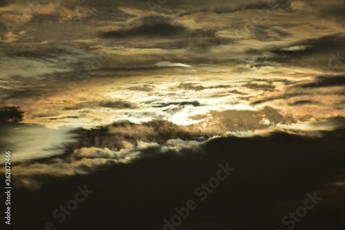 Nature, Plants, Flowers, Greenery, Sky, Sun, Freedom