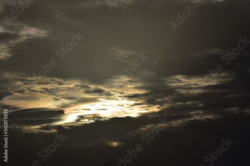 Nature, Plants, Flowers, Greenery, Sky, Sun, Freedom