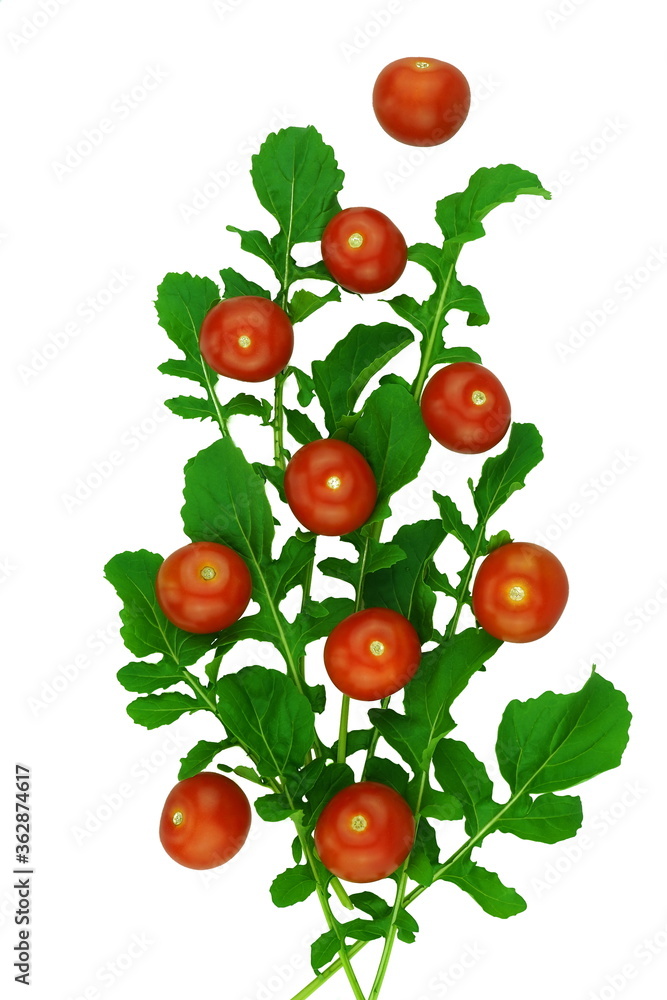 Fresh red tomatoes and green arugula isolated on a white background. Healthy food. Top view, copy space, flat lay. Fresh red tomatoes and green arugula isolated on a white background. Healthy food. Top view, copy space, flat lay.