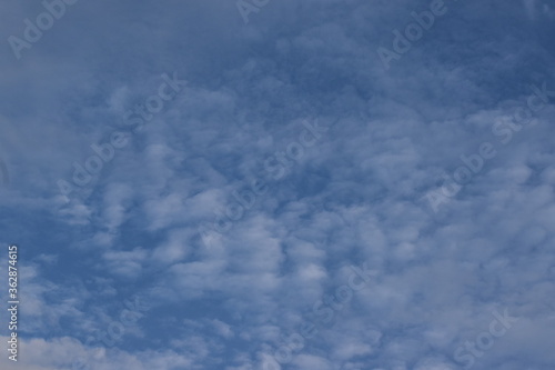 Nature, Plants, Flowers, Greenery, Sky, Sun, Freedom