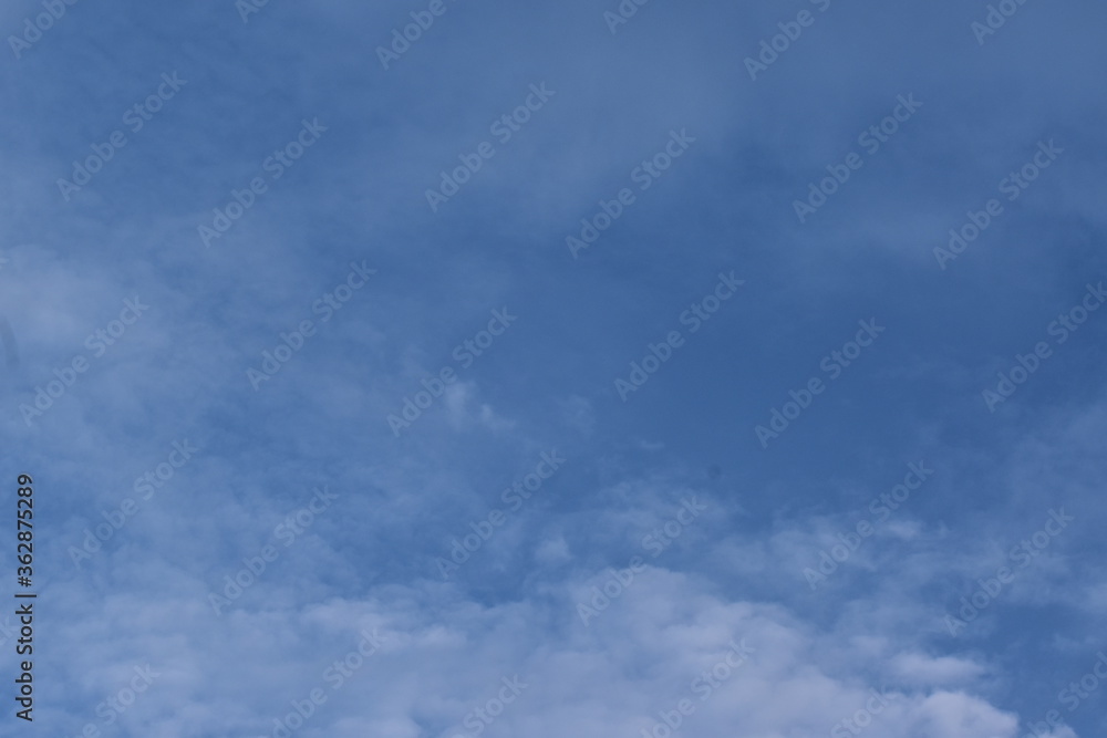 Nature, Plants, Flowers, Greenery, Sky, Sun, Freedom Nature, Plants, Flowers, Greenery, Sky, Sun, Freedom