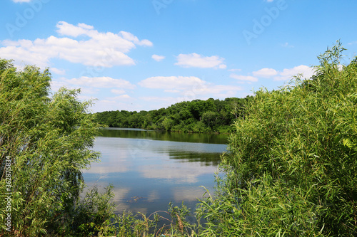 rural pond sky reflection trees bright clouds
