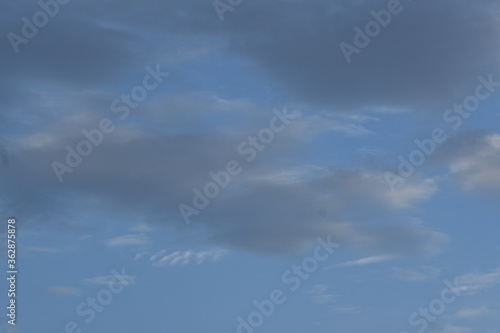 Nature, Plants, Flowers, Greenery, Sky, Sun, Freedom