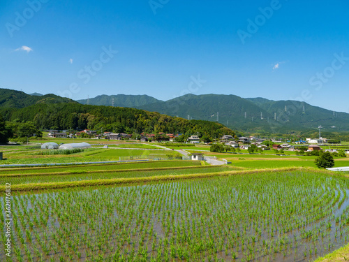 Photos scenery of rice fields in countryside of Fukuoka prefecture, JAPAN