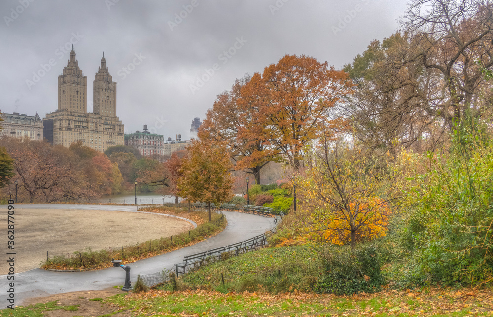 Central Park on wet morning