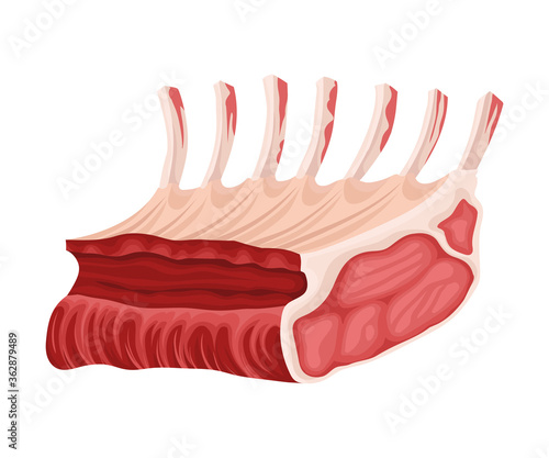 Raw Beef Rib as Meat Product Vector Illustration