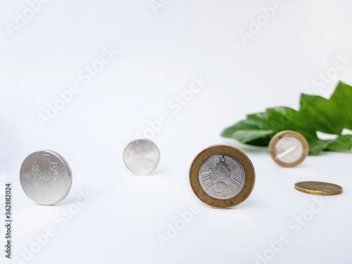 Belarusian coins made of metal alloy with copper on a white background with green leaves in the background. On the coin with yellow borders it is written in the Belarusian language Belarus, ruble.