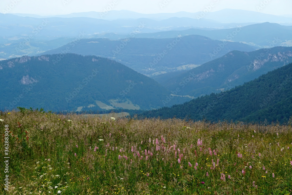 Obraz premium Landscape with blue Mala Fatra mountains in Slovakia