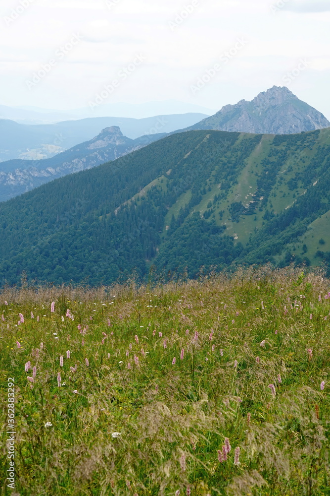 Landscape with blue Mala Fatra mountains in Slovakia Landscape with blue Mala Fatra mountains in Slovakia