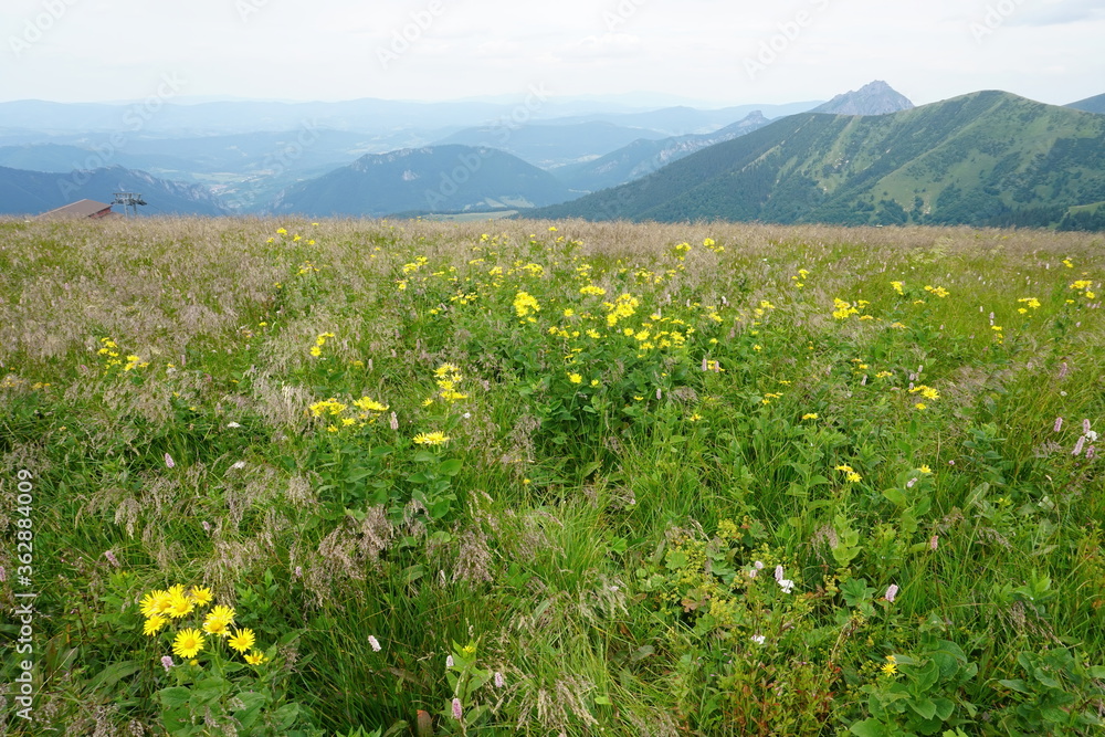 Obraz premium Landscape with blue Mala Fatra mountains in Slovakia