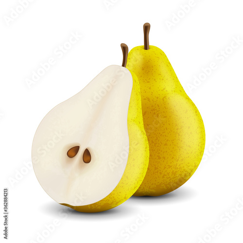 Vector realistic fresh pear