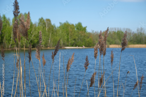 See Emsland Natur