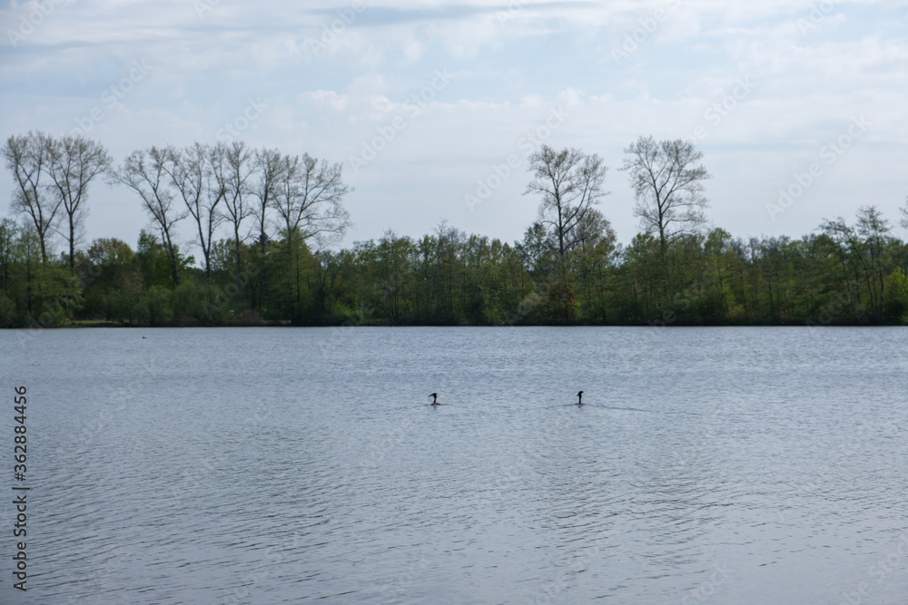Naklejka premium Wasser See