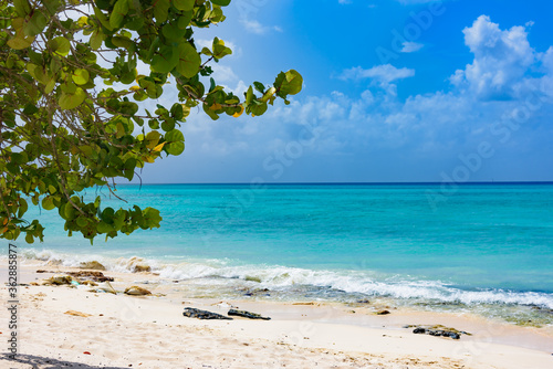 Fototapeta Naklejka Na Ścianę i Meble -   Caribbean sea Dominican Republic turquoise