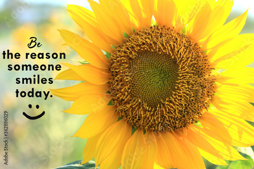 Inspirational quote - Be the reason someone smiles today. With closeup of beautiful sunflower blossom in the garden background and happy smile emoticon. Motivational words with nature flower concept.