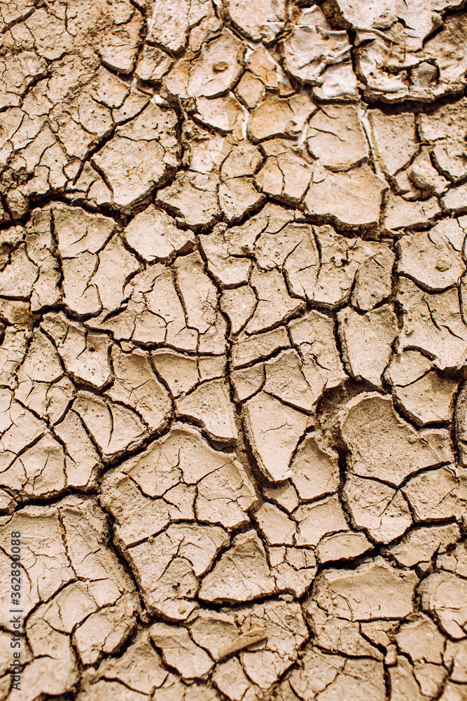 Fototapeta premium Texture of cracked earth, global warming, erosion, Space for text.