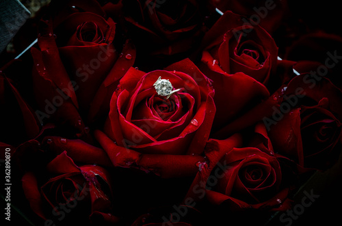 Wedding Ring in Rose, Will you marry me?,valentine Day,Dark Tone concept.
