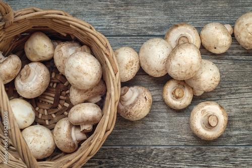 White mushrooms and basket on the wooden surface