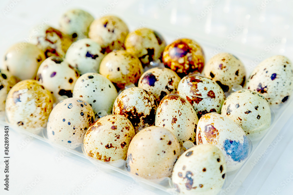 quail eggs on an egg formwork
