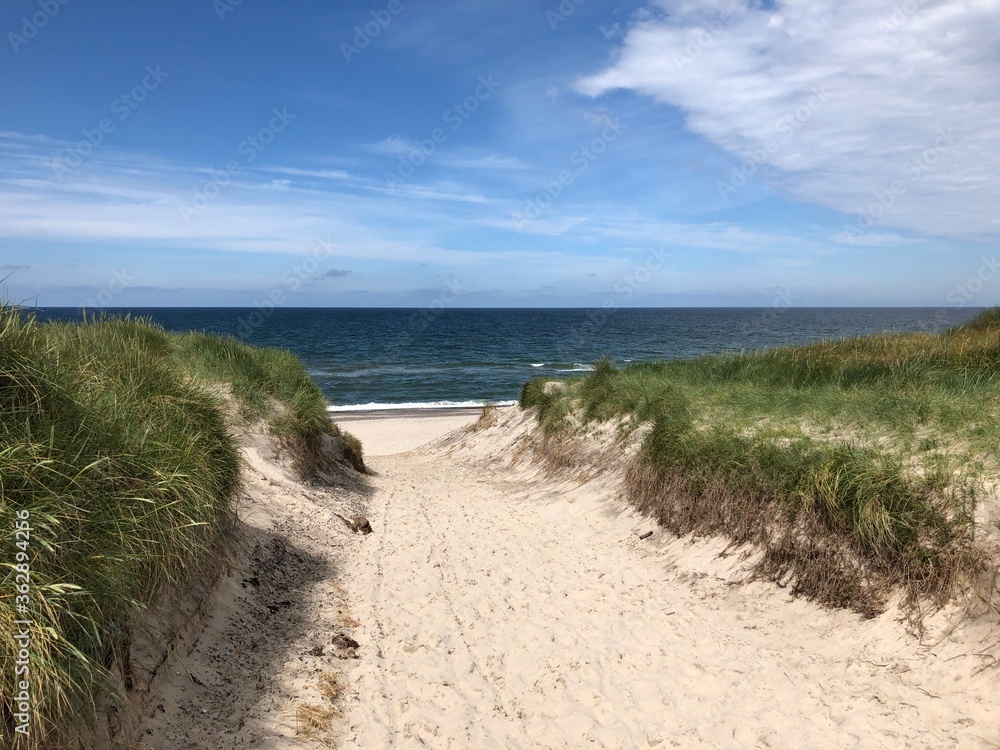 Strand Dünen Dänemark path to the sea Strand Dünen Dänemark path to the sea