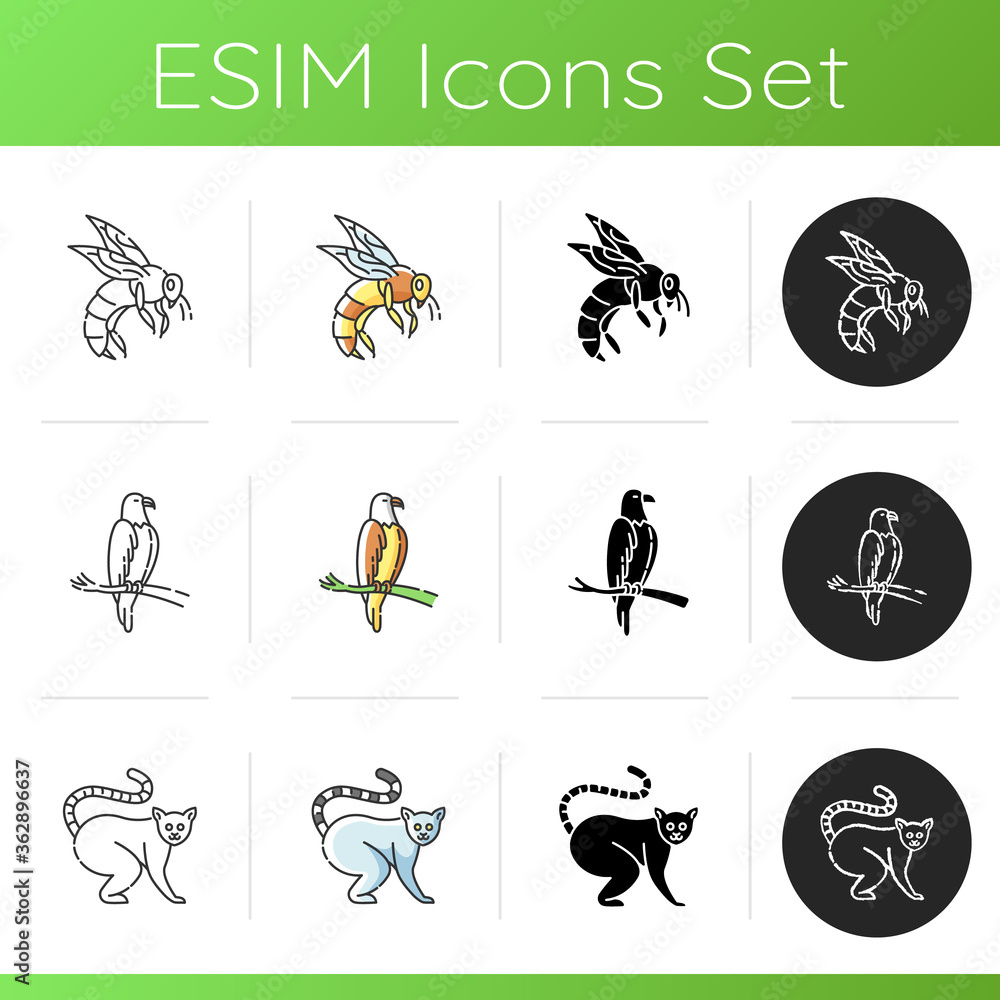 Wildlife icons set. Linear, black and RGB color styles. Ordinary animals and tropical wild life. Different nature inhabitants. Honeybee, ring tailed lemur and eagle. Isolated vector illustrations Wildlife icons set. Linear, black and RGB color styles. Ordinary animals and tropical wild life. Different nature inhabitants. Honeybee, ring tailed lemur and eagle. Isolated vector illustrations