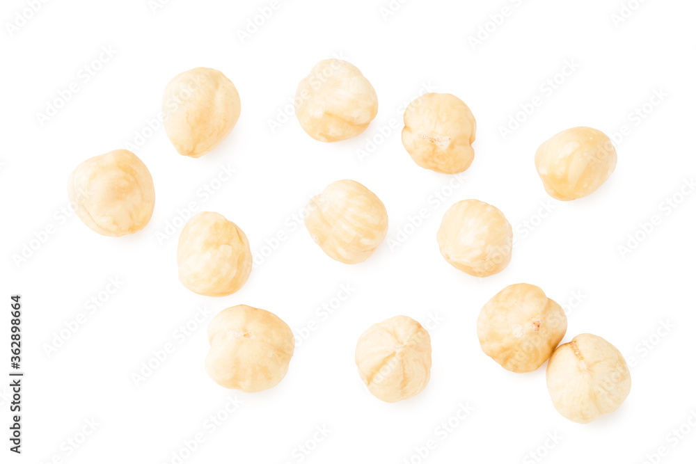 hazelnuts isolated on white background. top view