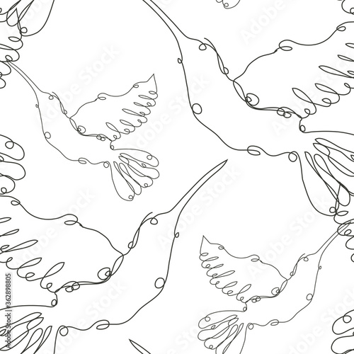 colibri seamless pattern line art