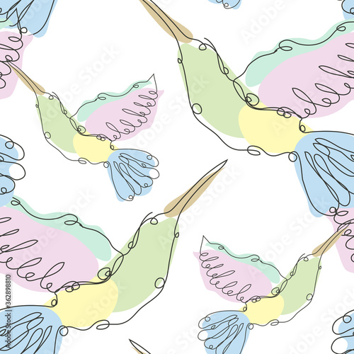colibri seamless pattern line art