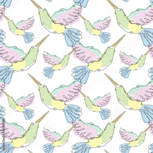 colibri seamless pattern line art