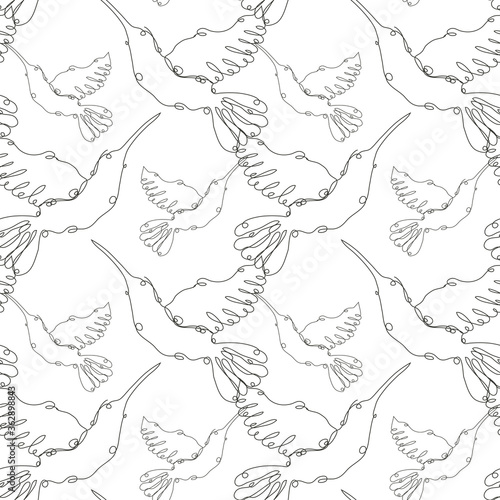 colibri seamless pattern line art