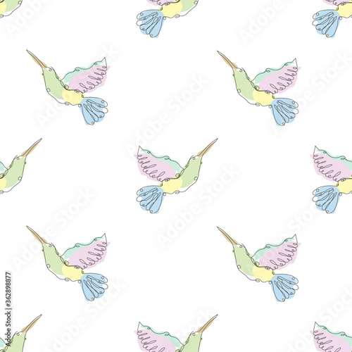 colibri seamless pattern line art