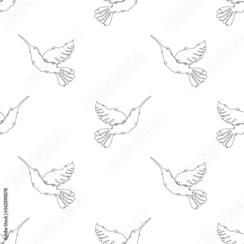 colibri seamless pattern line art