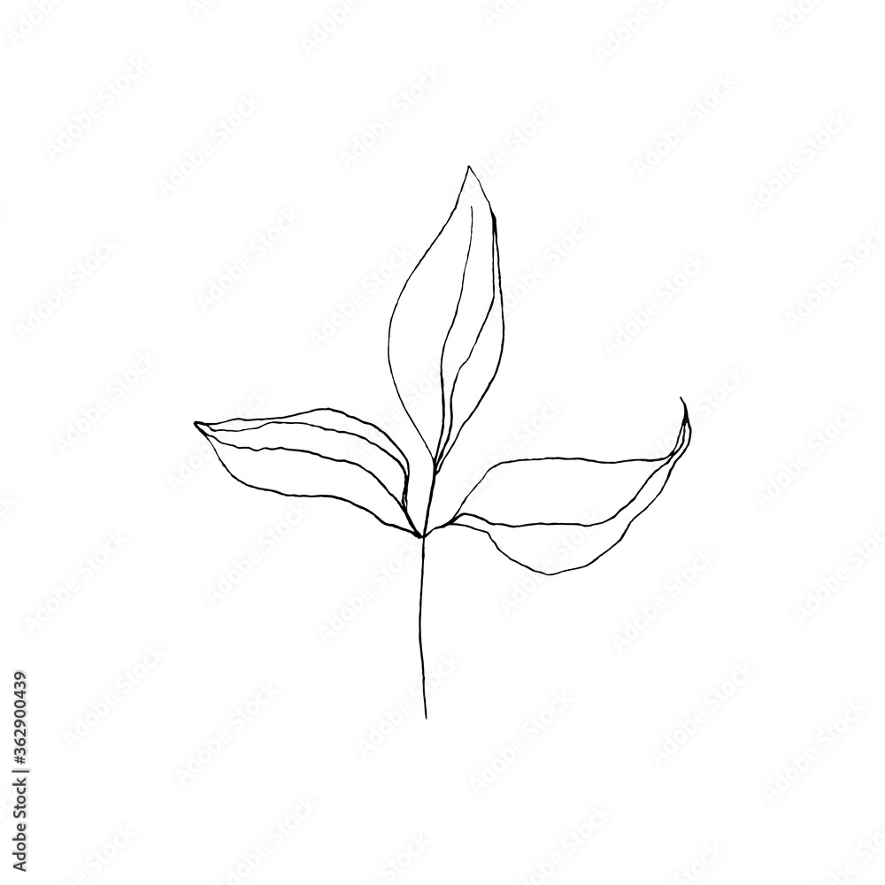 Black and white line art decoration of leaves. Vector isolated clipart. Minimal monochrome hand drawing botanical design. Contour engraving foliage Black and white line art decoration of leaves. Vector isolated clipart. Minimal monochrome hand drawing botanical design. Contour engraving foliage
