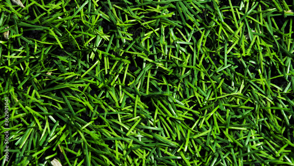artificial turf. the texture of the grass, the football field. background for the design. artificial turf. the texture of the grass, the football field. background for the design.