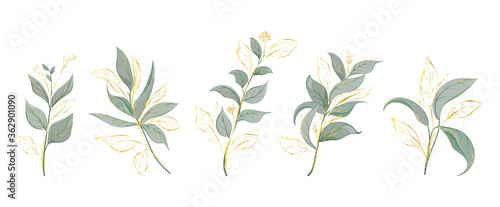 Art watercolor natural branches leaves elements. Vector illustration
