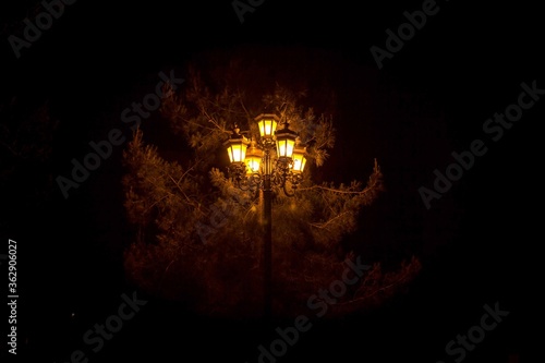 a street lamp with five lamps illuminates a tall tree standing behind it  on the street night  dark sky. Image with selective focus