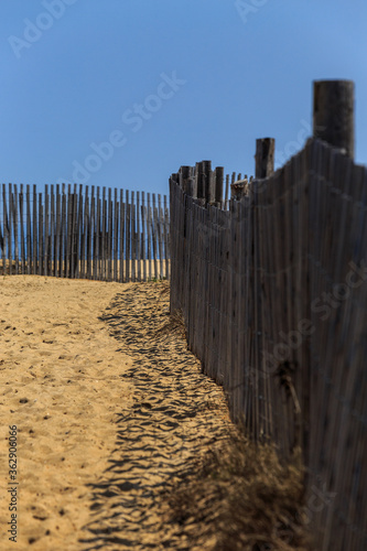 Dune Fence at Beach