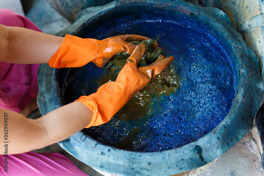 Obraz premium Natural Cloth Dyeing,Process dye fabric indigo color.