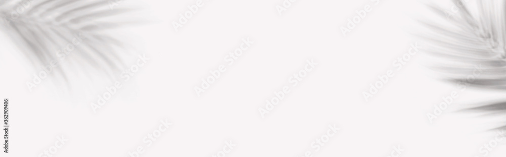 Shadow background of tropical palm leaves - flat lay Shadow background of tropical palm leaves - flat lay